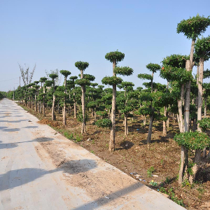 基地實(shí)景