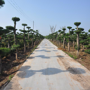 基地實(shí)景